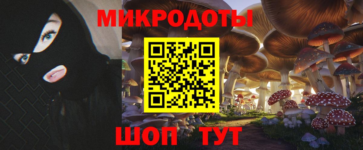Псилоцибиновые грибы прущие грибы Арсеньев
